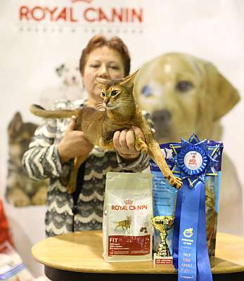 �������� ����� 18-19 ������� 2014 WCF-����� 5-94-169A3277 copy.jpg